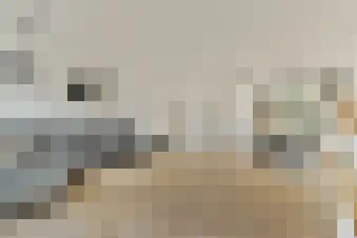 Jeroen Boschstraat 12 Zaandam thumbnail 14