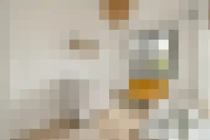 Jeroen Boschstraat 12 Zaandam thumbnail 25