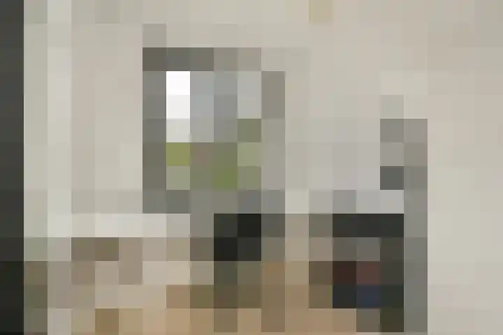 Jeroen Boschstraat 12 Zaandam thumbnail 30