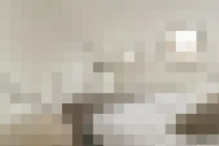 Jeroen Boschstraat 12 Zaandam thumbnail 32