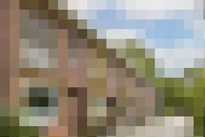 Jeroen Boschstraat 12 Zaandam thumbnail 5