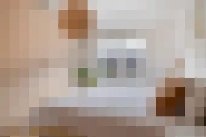 Jeroen Boschstraat 13 Breda thumbnail 10