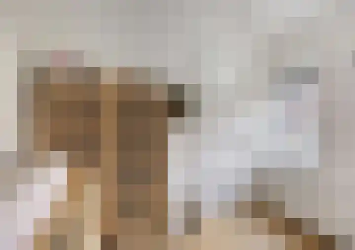 Jeroen Boschstraat 13 Breda thumbnail 13