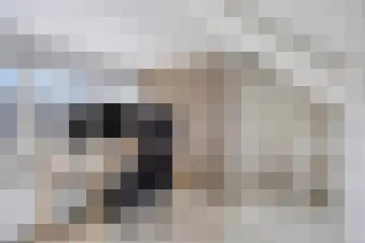 Jeroen Boschstraat 13 Breda thumbnail 18