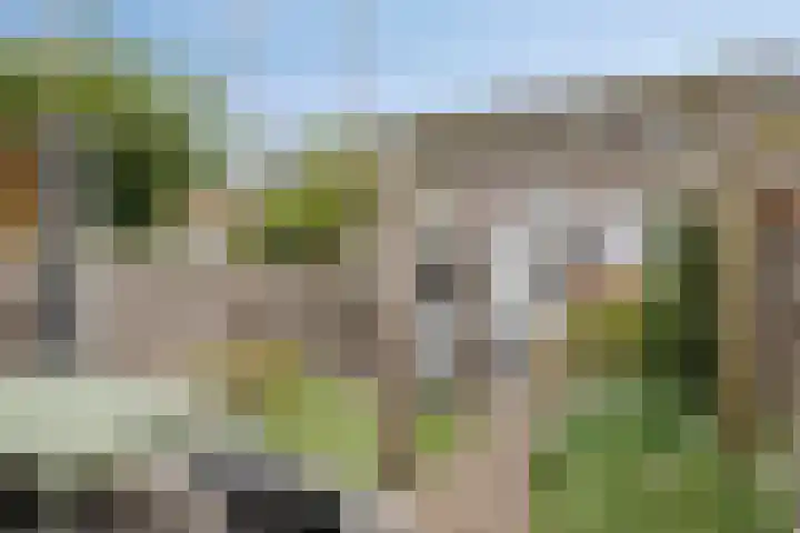 Jeroen Boschstraat 13 Breda thumbnail 19