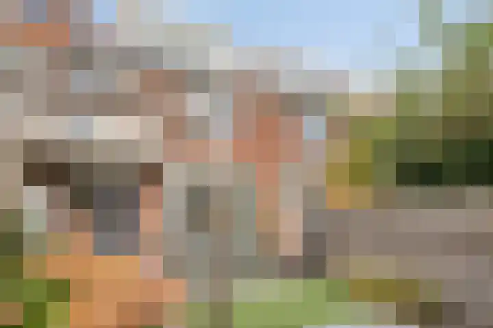 Jeroen Boschstraat 13 Breda thumbnail 20