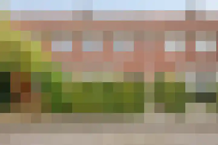 Jeroen Boschstraat 13 Breda thumbnail 23