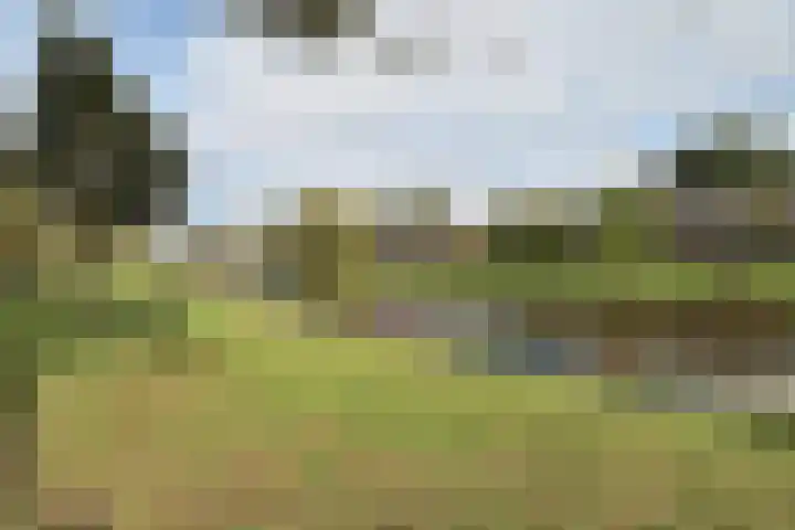 Jeroen Boschstraat 13 Breda thumbnail 25