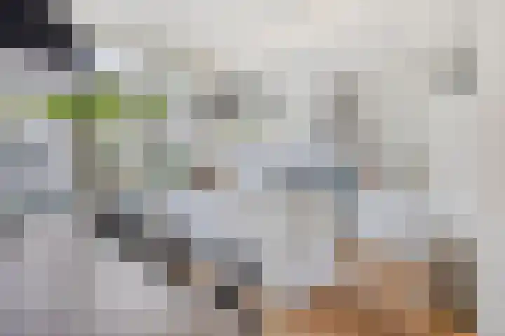Jeroen Boschstraat 13 Breda thumbnail 6