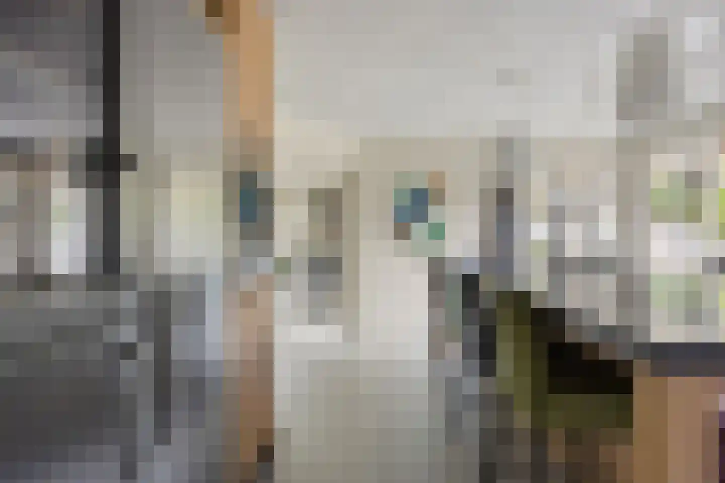 Jeroen Boschstraat 13 Waalwijk thumbnail 22