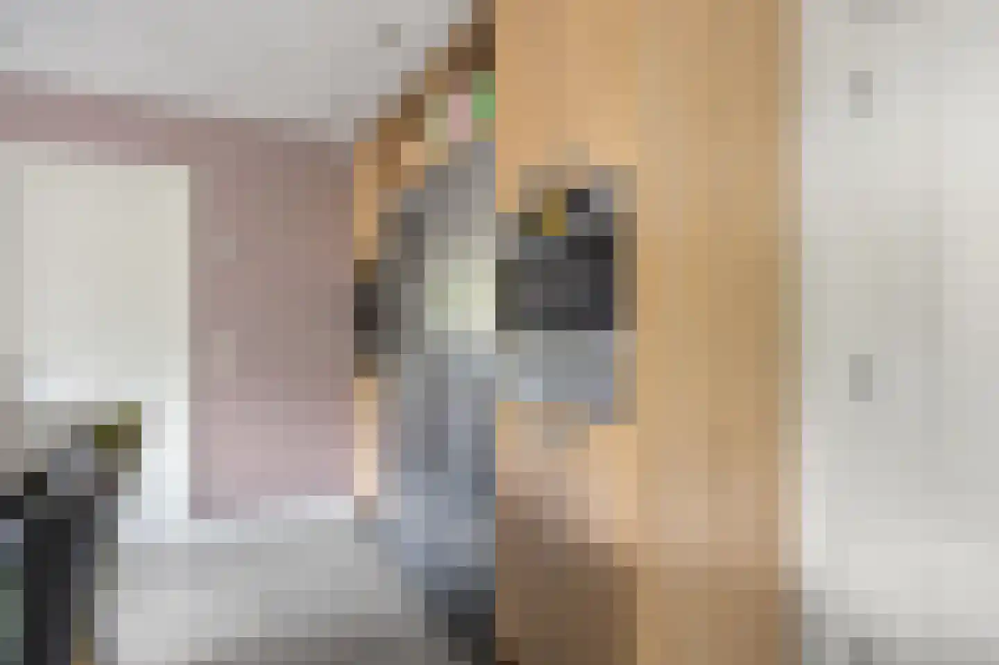 Jeroen Boschstraat 13 Waalwijk thumbnail 23