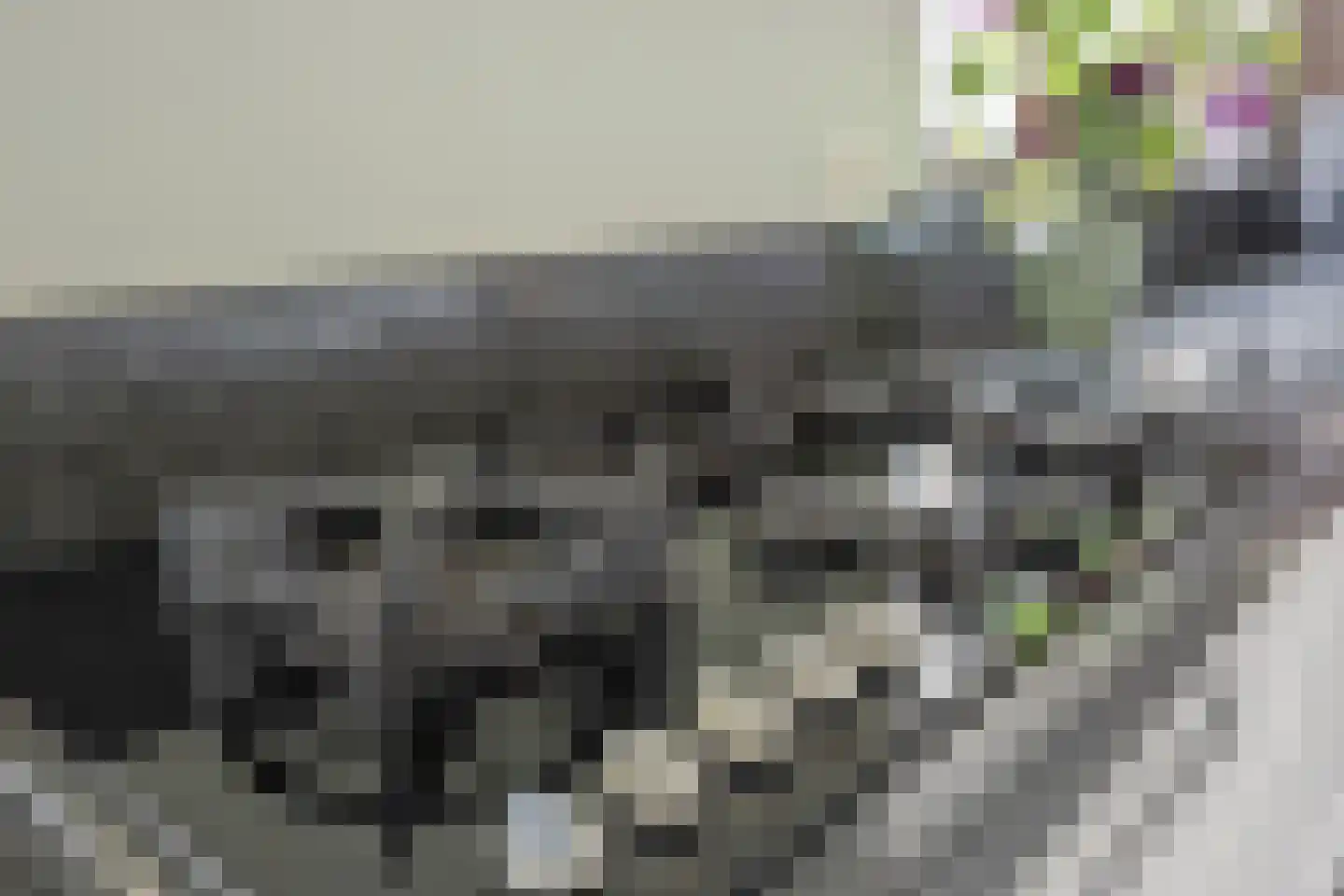 Jeroen Boschstraat 13 Waalwijk thumbnail 25