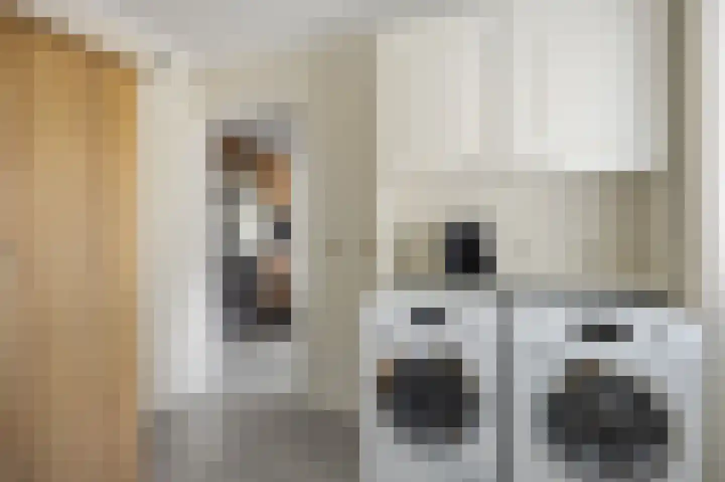 Jeroen Boschstraat 13 Waalwijk thumbnail 30
