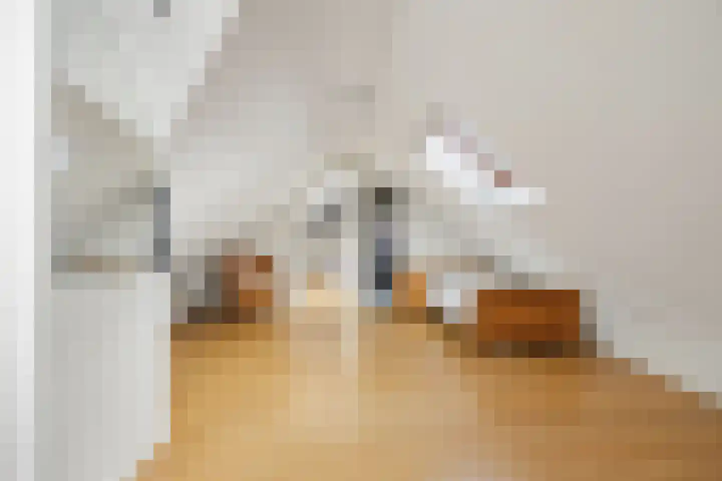 Jeroen Boschstraat 13 Waalwijk thumbnail 43