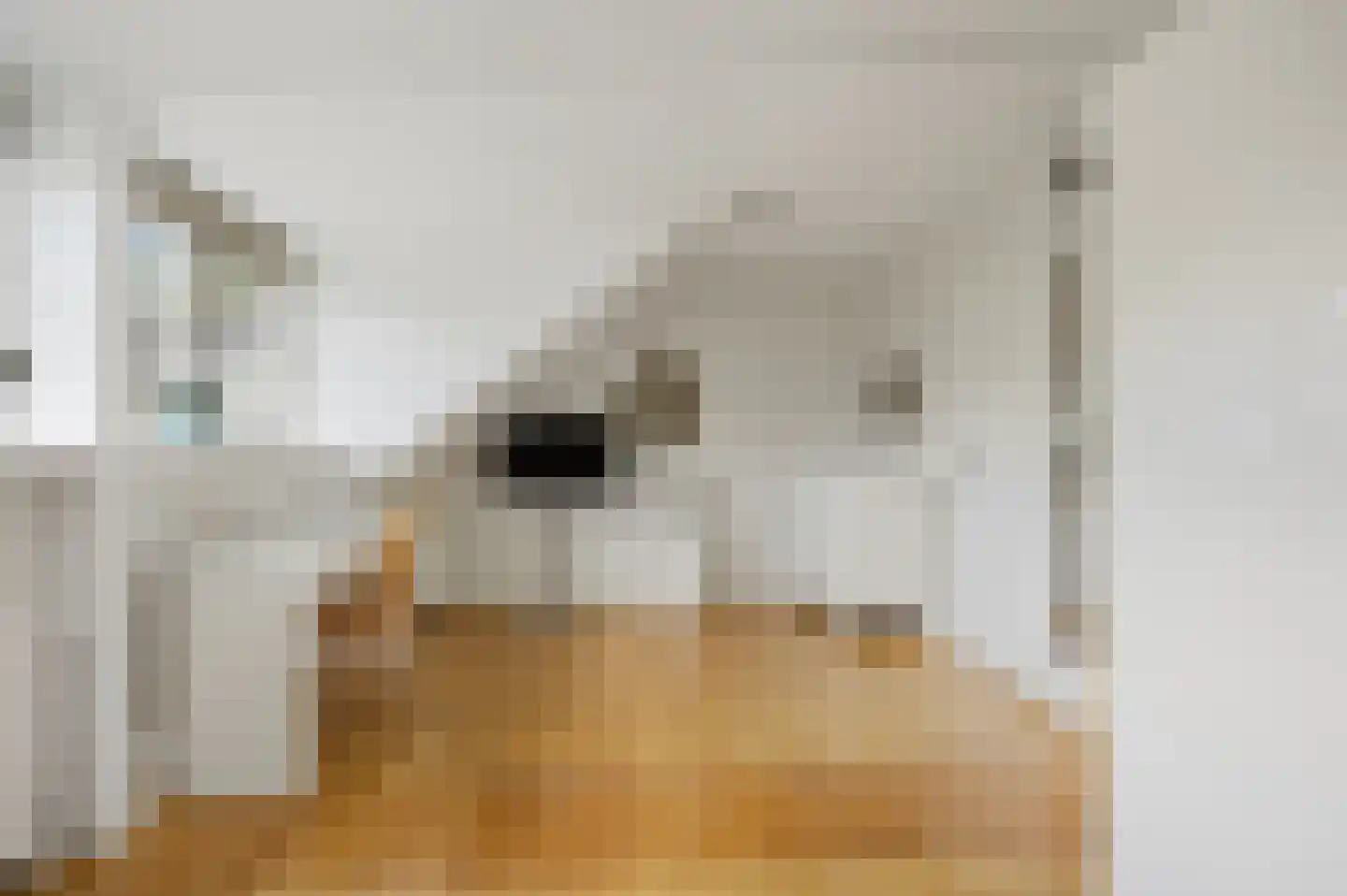 Jeroen Boschstraat 13 Waalwijk thumbnail 44