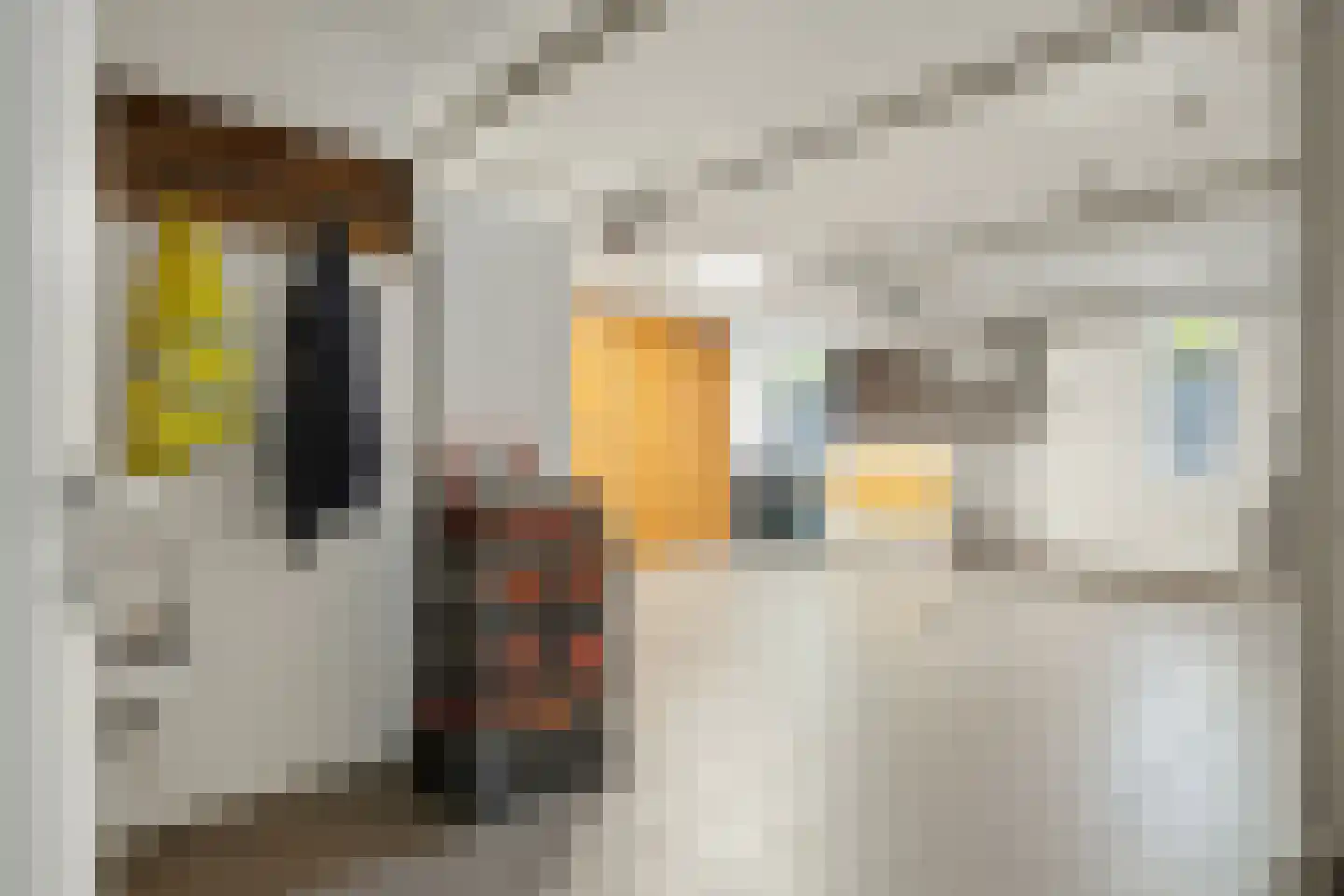 Jeroen Boschstraat 13 Waalwijk thumbnail 50