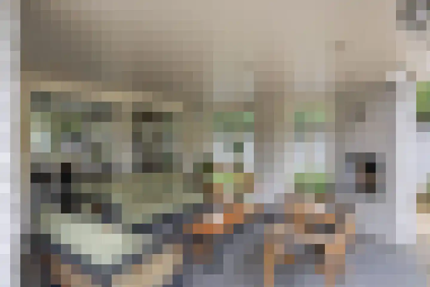 Jeroen Boschstraat 13 Waalwijk thumbnail 56