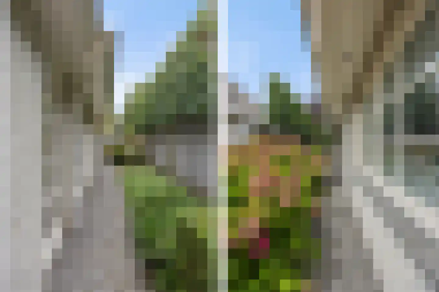 Jeroen Boschstraat 13 Waalwijk thumbnail 63