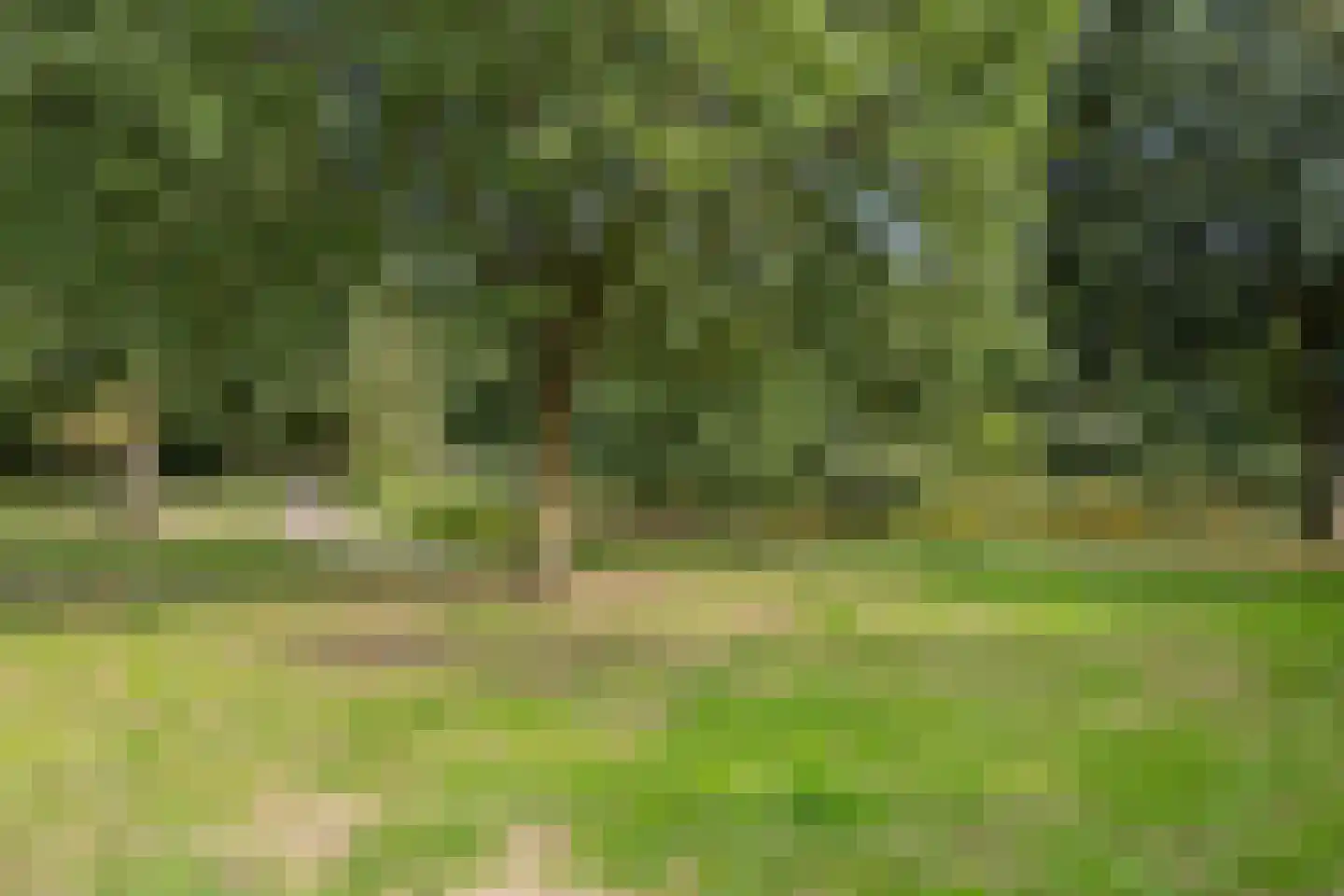 Jeroen Boschstraat 13 Waalwijk thumbnail 77
