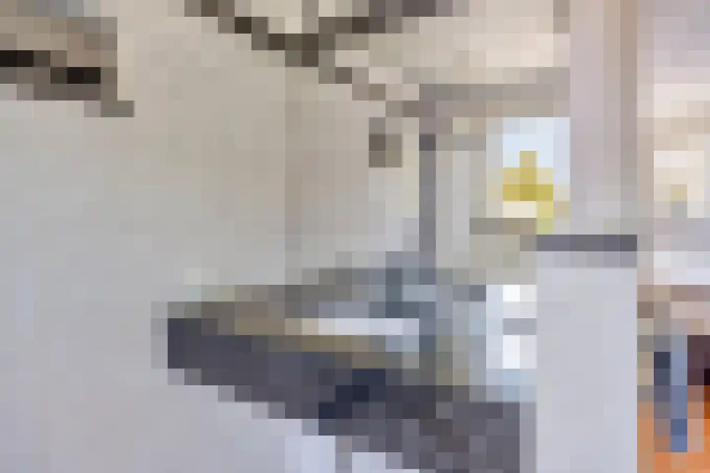 Jeroen Boschstraat 15 Waalwijk thumbnail 24
