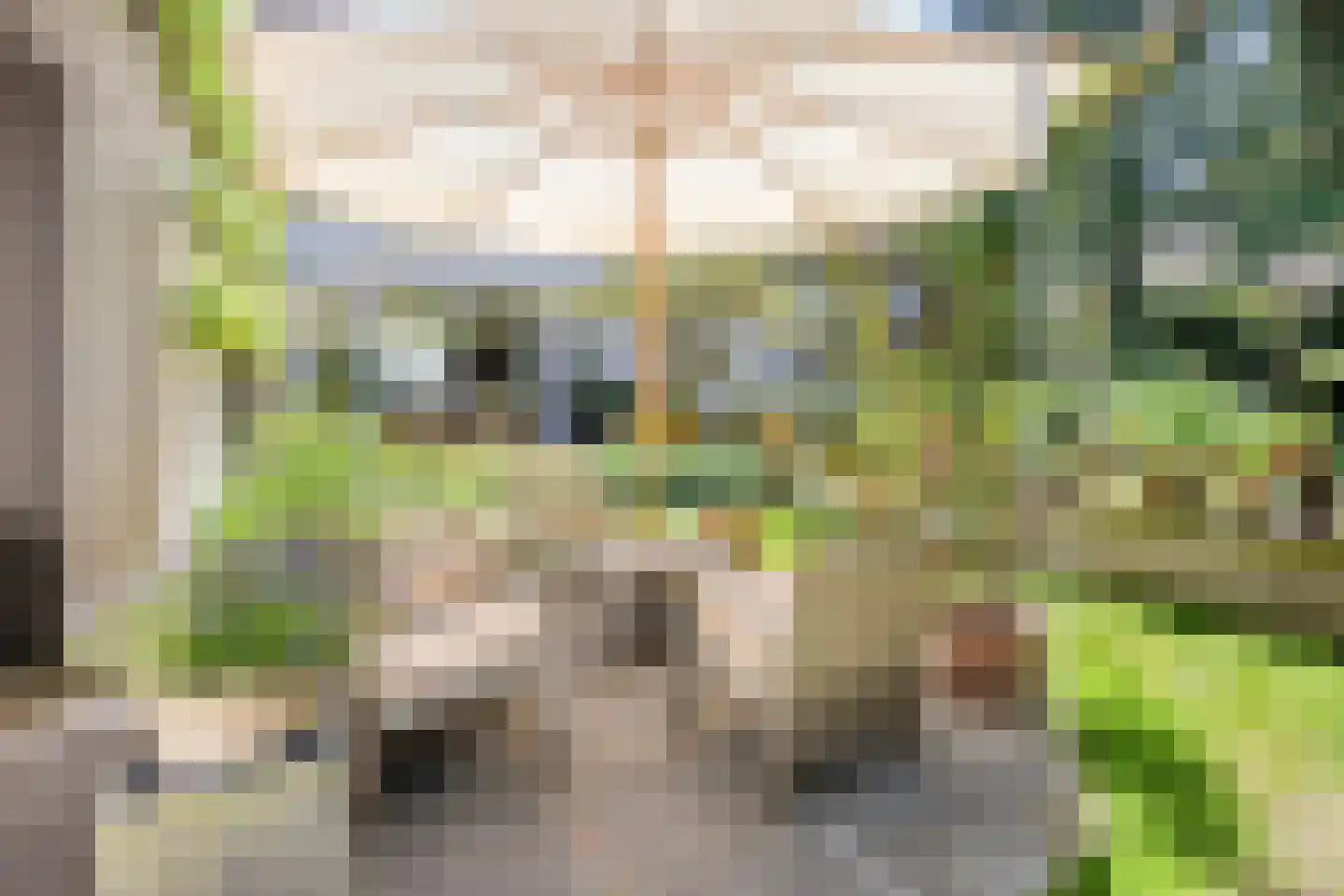 Jeroen Boschstraat 15 Waalwijk thumbnail 31