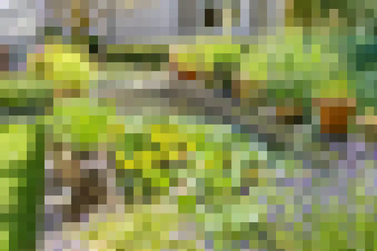 Jeroen Boschstraat 15 Waalwijk thumbnail 32