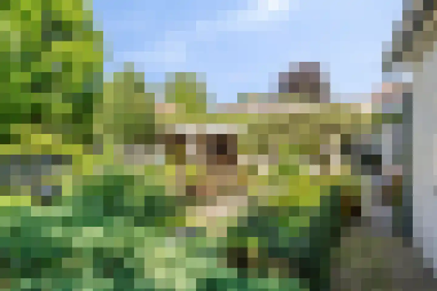Jeroen Boschstraat 15 Waalwijk thumbnail 34