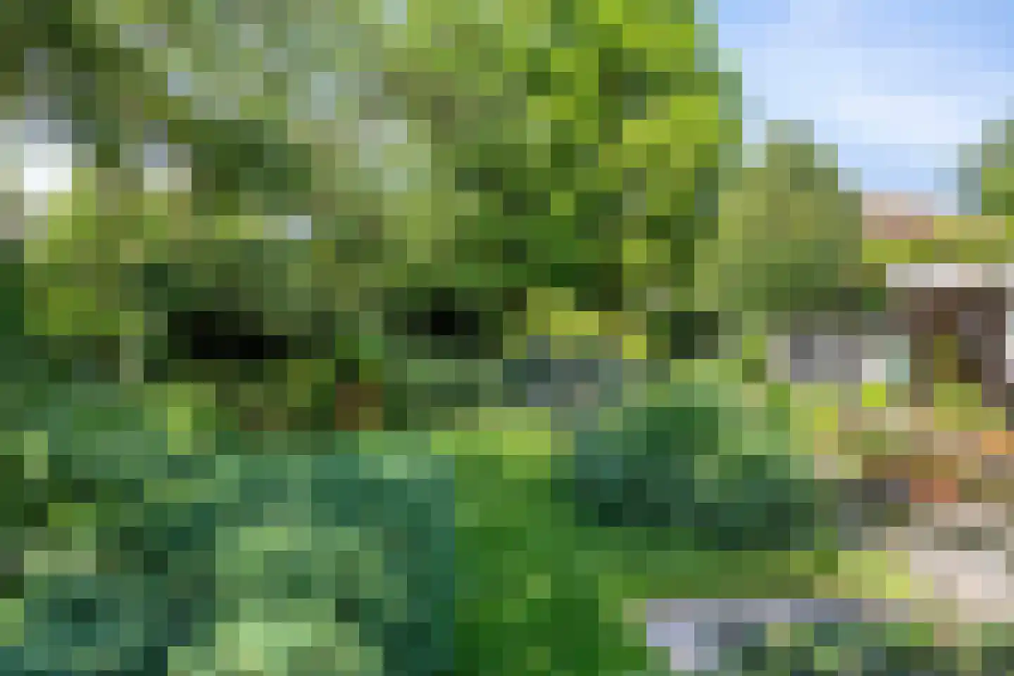 Jeroen Boschstraat 15 Waalwijk thumbnail 35