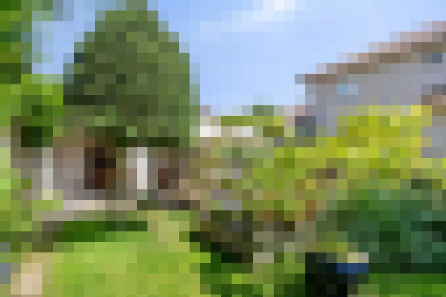 Jeroen Boschstraat 15 Waalwijk thumbnail 4