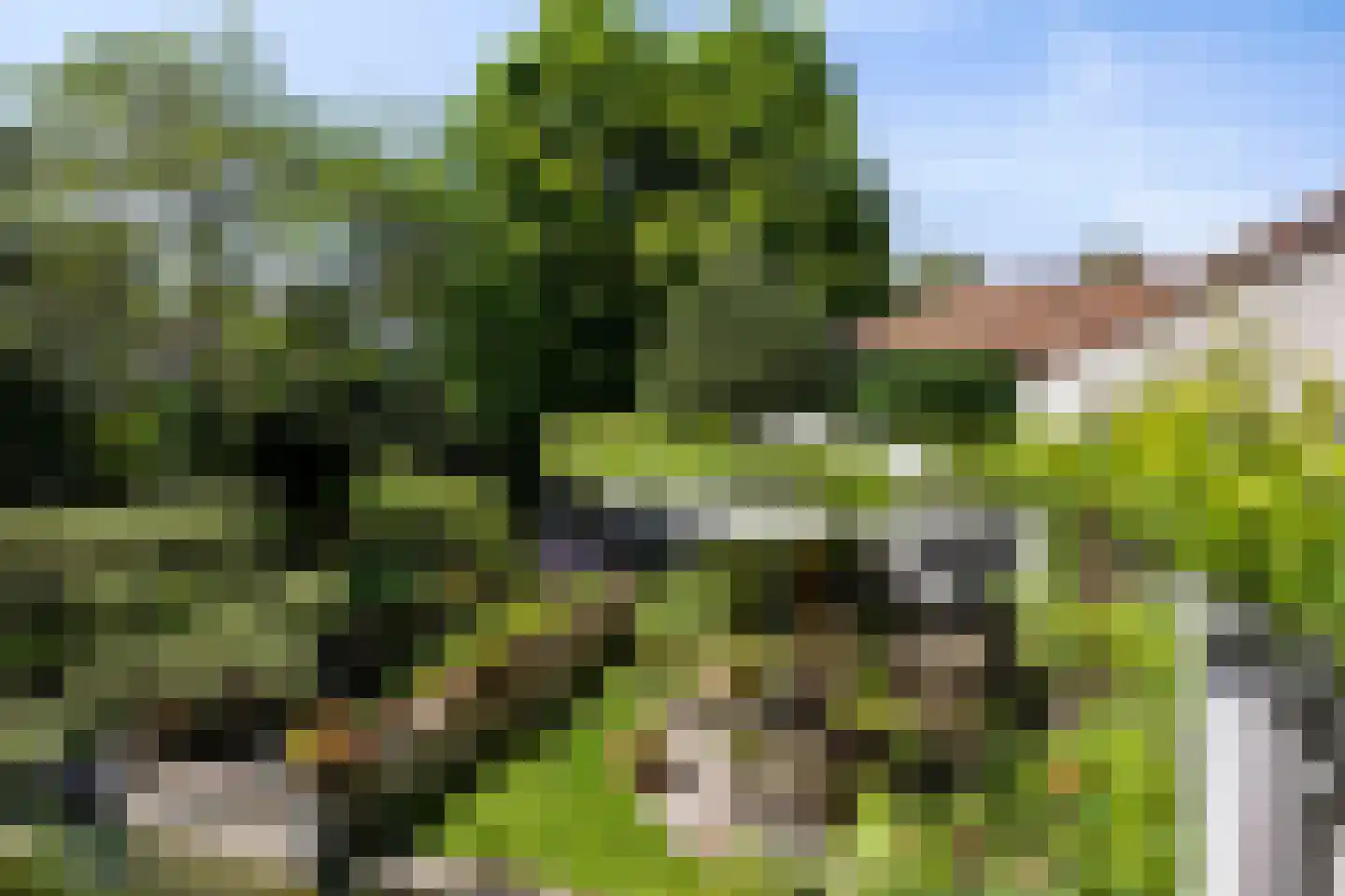 Jeroen Boschstraat 15 Waalwijk thumbnail 40