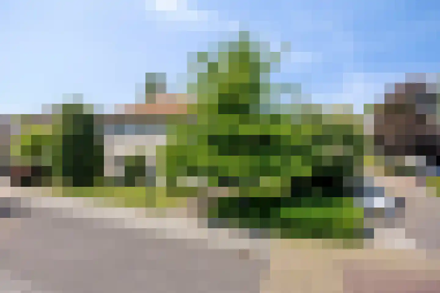 Jeroen Boschstraat 15 Waalwijk thumbnail 46