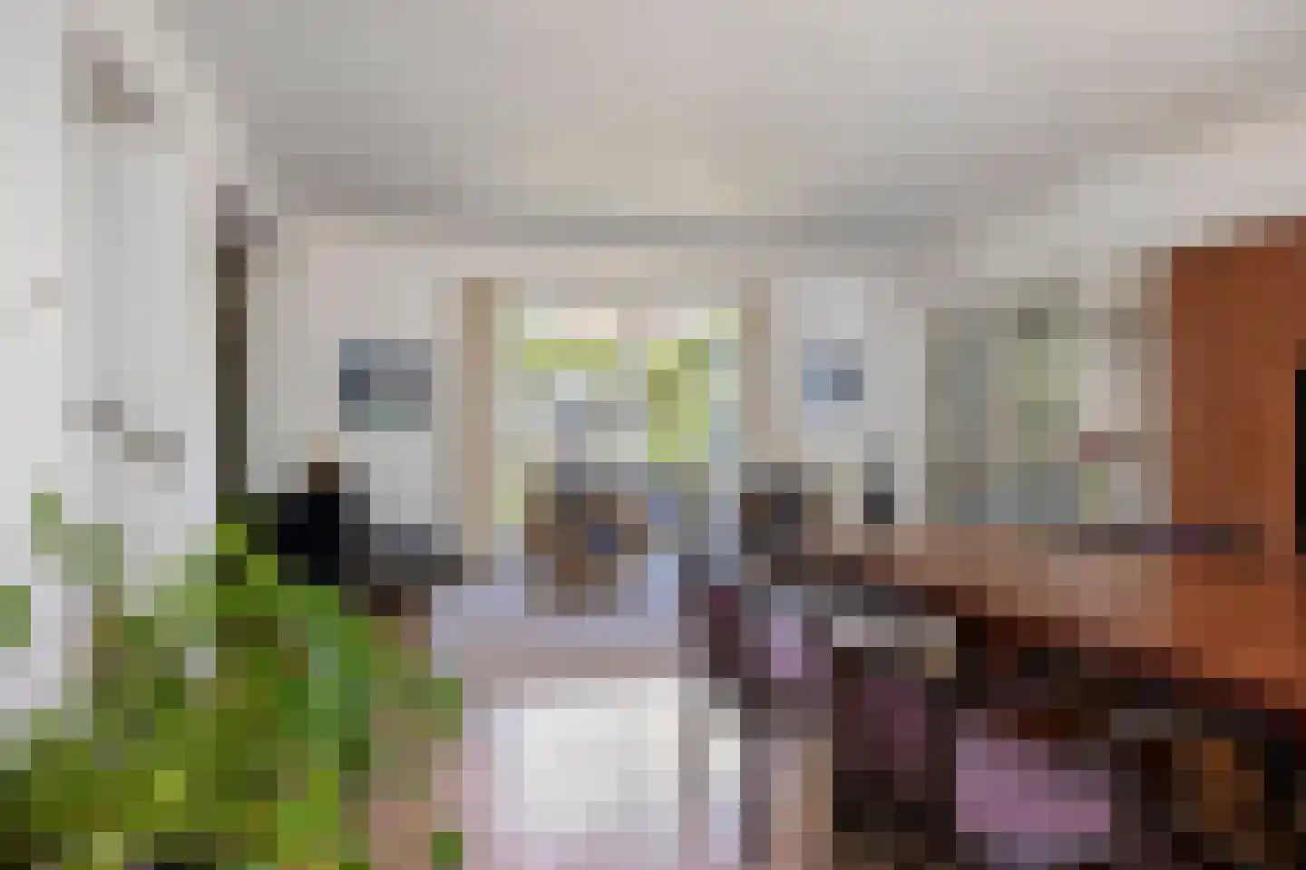 Jeroen Boschstraat 15 Waalwijk thumbnail 9