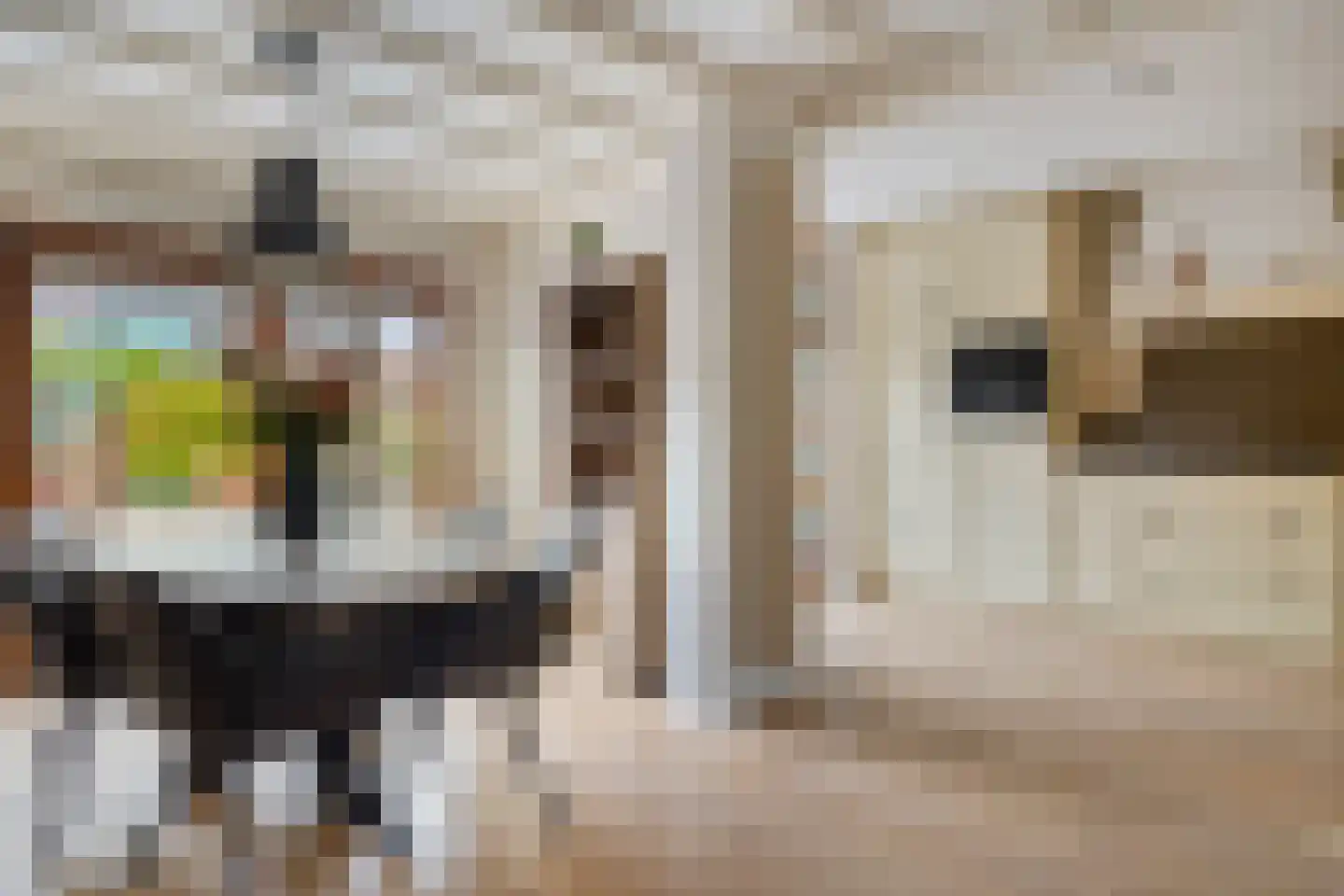 Jeroen Boschstraat 19 Terneuzen thumbnail 12