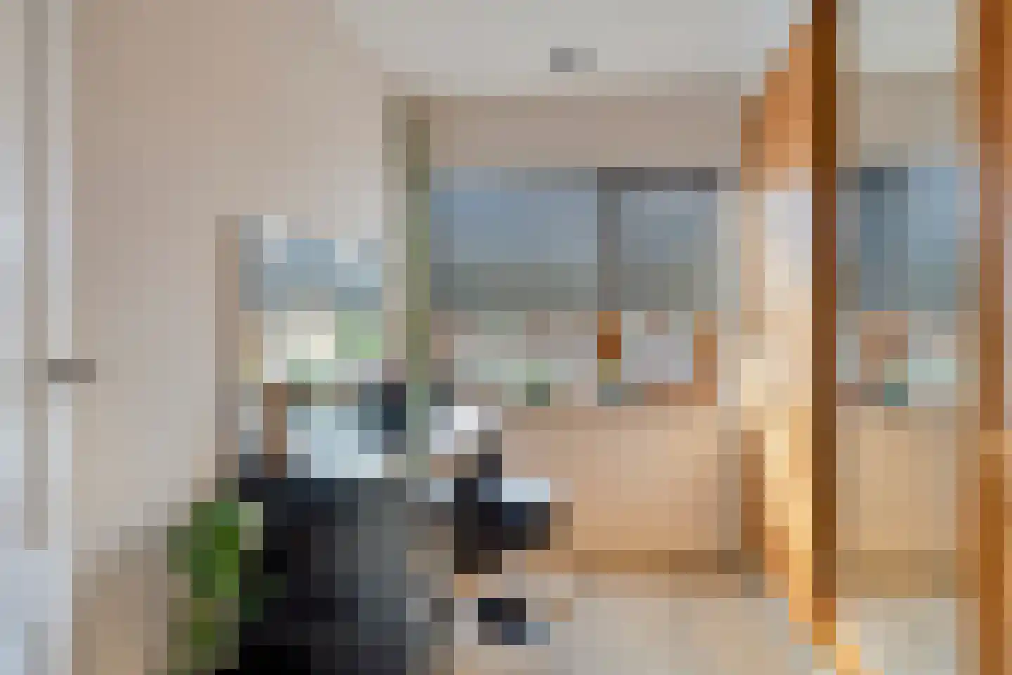 Jeroen Boschstraat 19 Terneuzen thumbnail 17