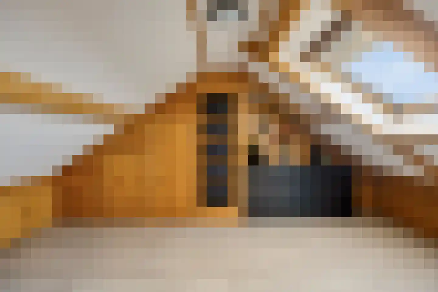 Jeroen Boschstraat 19 Terneuzen thumbnail 22