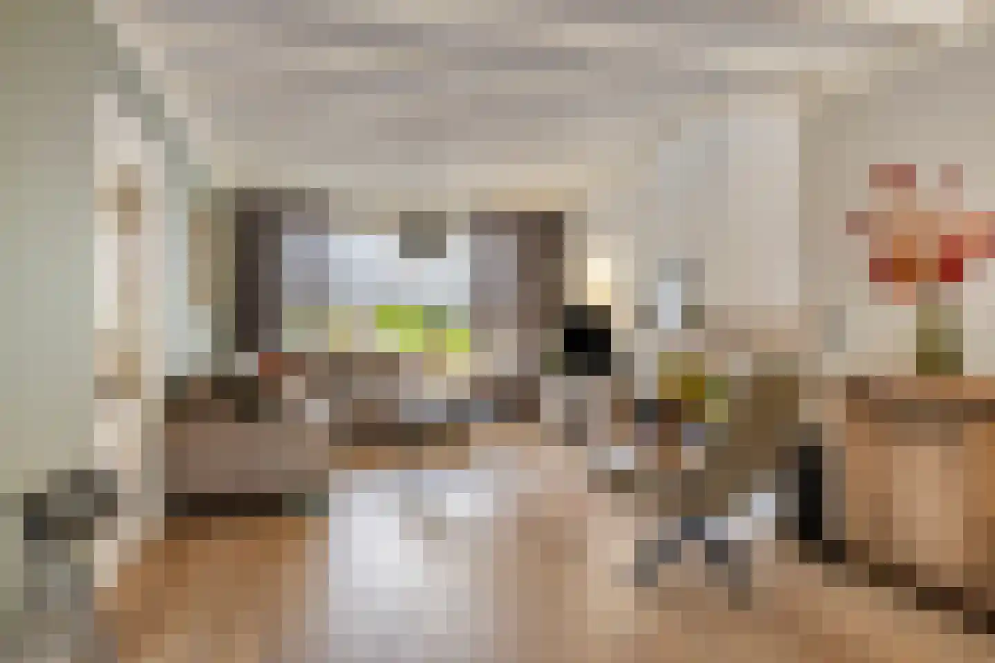 Jeroen Boschstraat 19 Terneuzen thumbnail 9