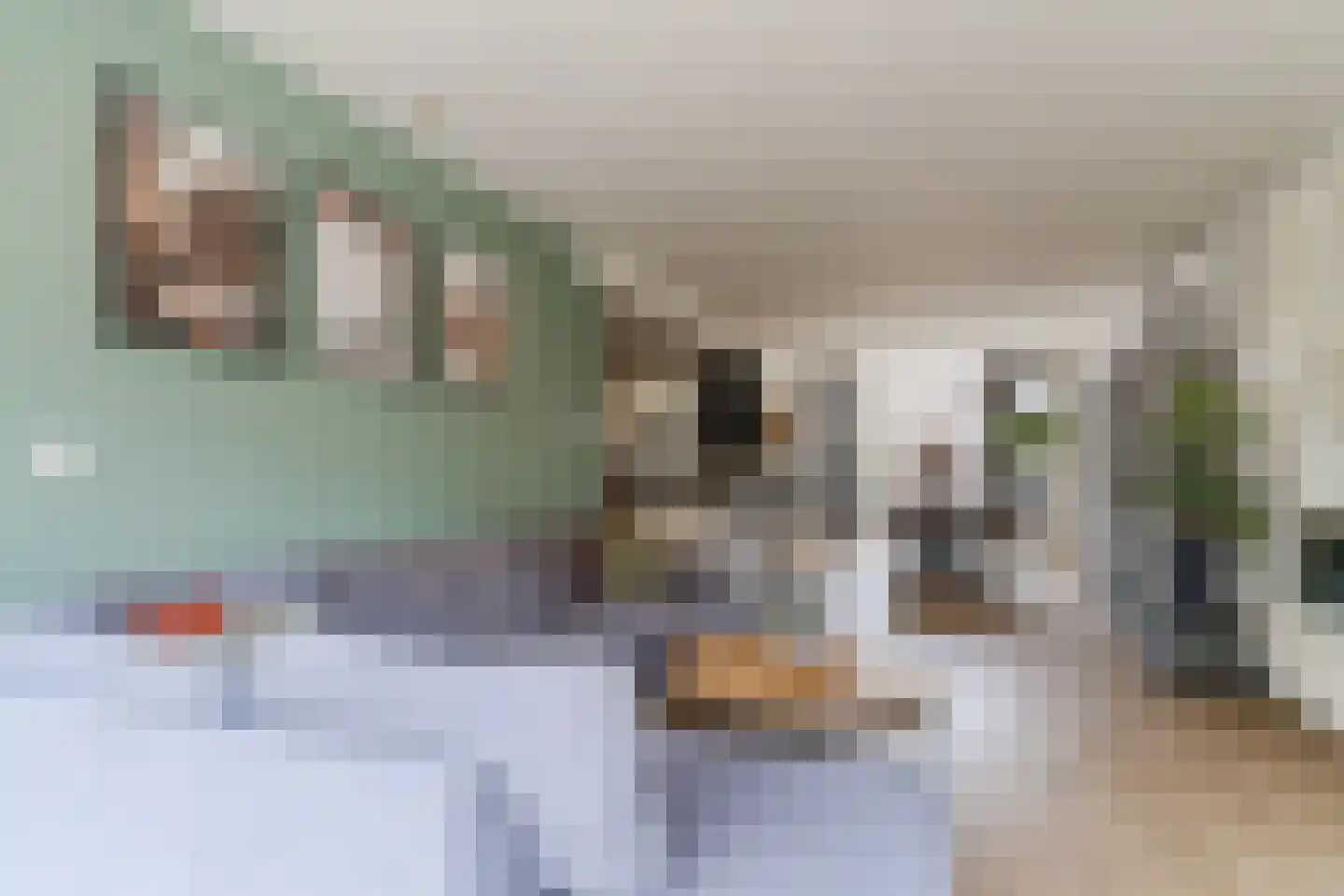 Jeroen Boschstraat 2 Akersloot thumbnail 14