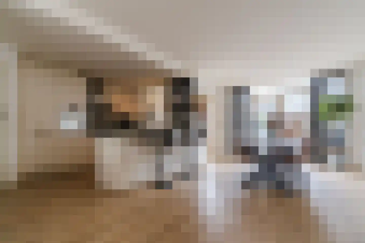 Jeroen Boschstraat 2 Akersloot thumbnail 15