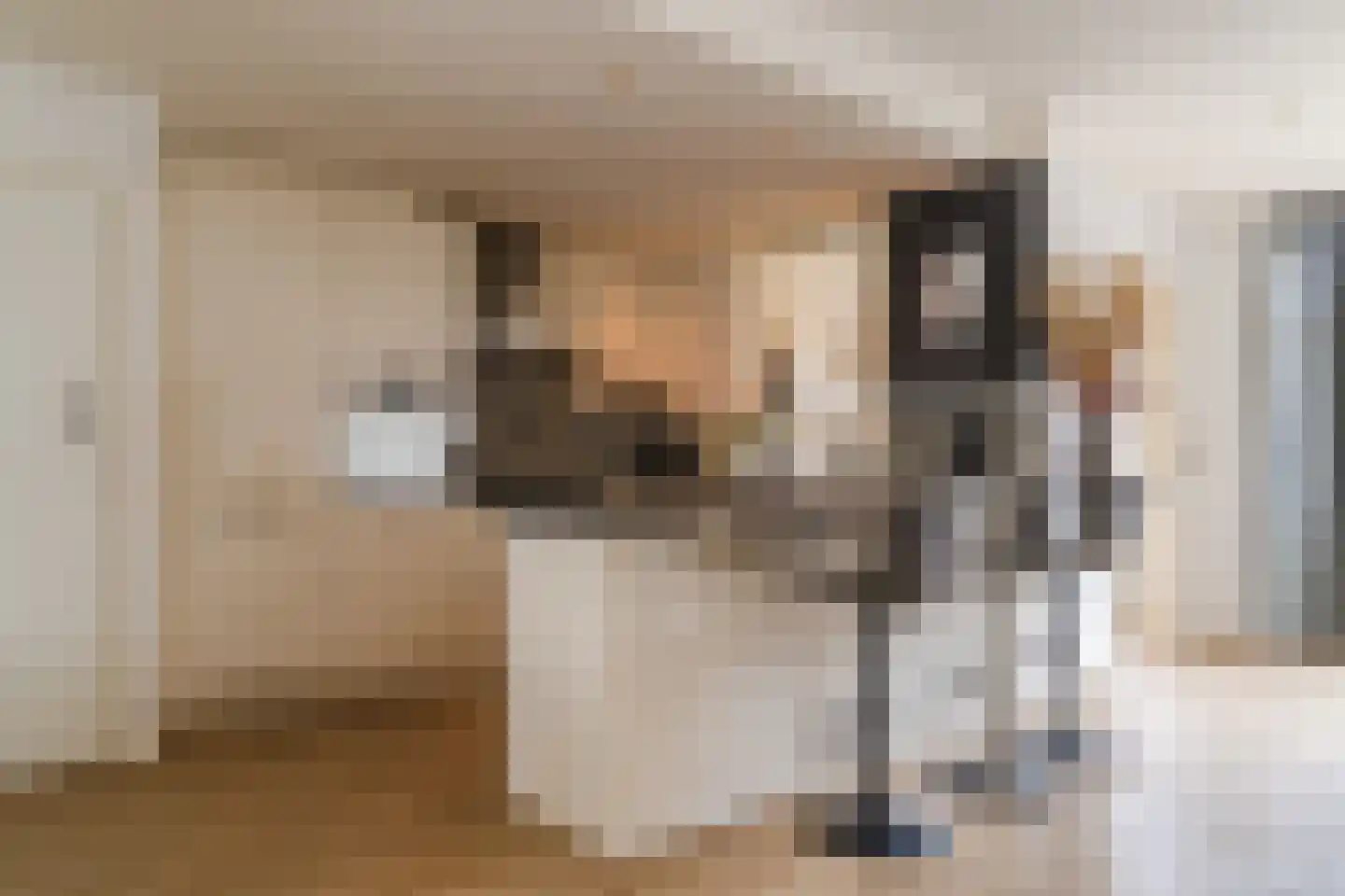Jeroen Boschstraat 2 Akersloot thumbnail 16