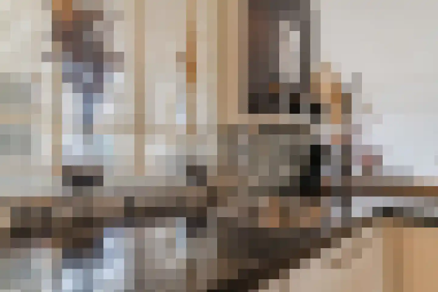 Jeroen Boschstraat 2 Akersloot thumbnail 19