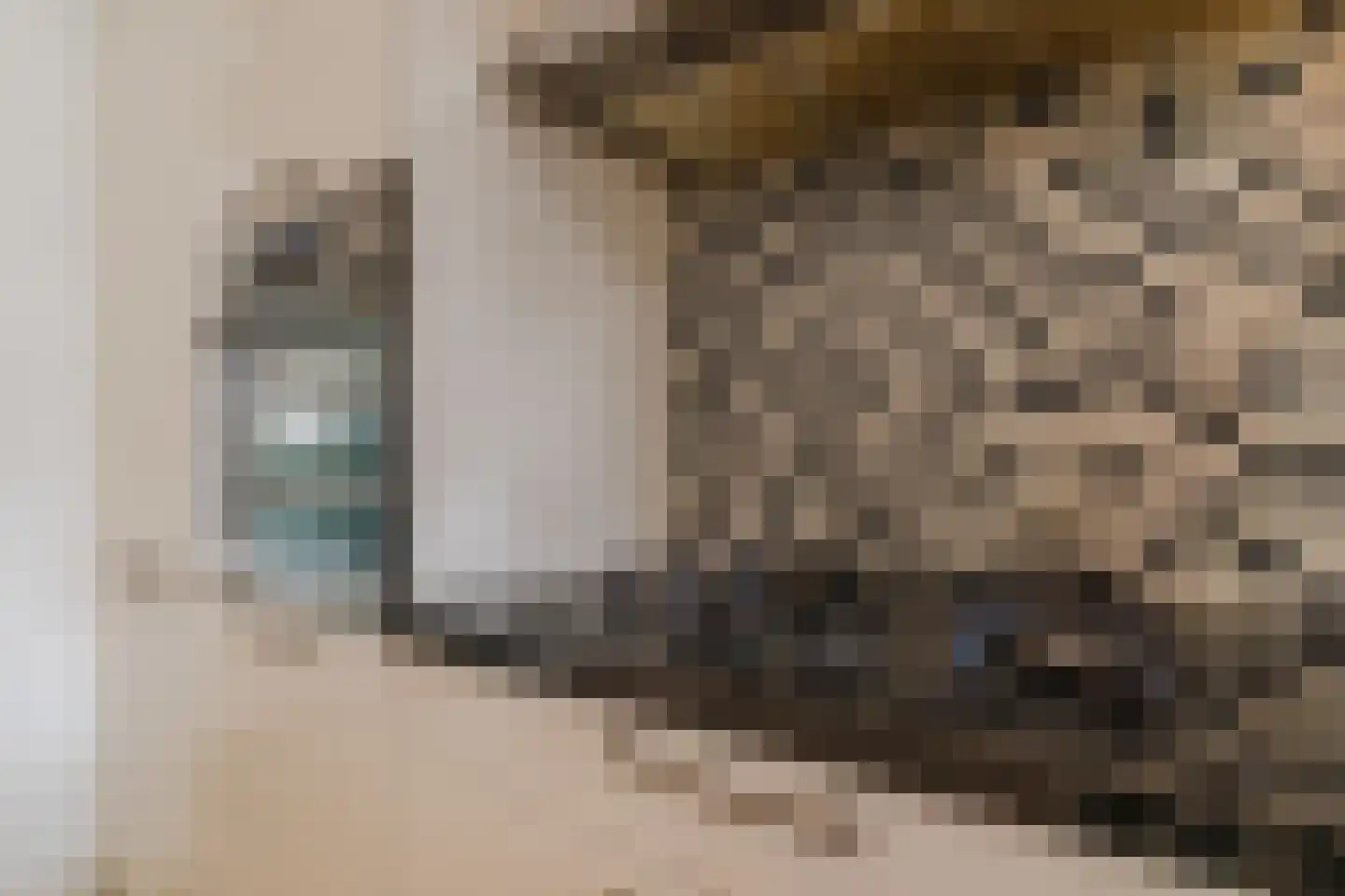 Jeroen Boschstraat 2 Akersloot thumbnail 20