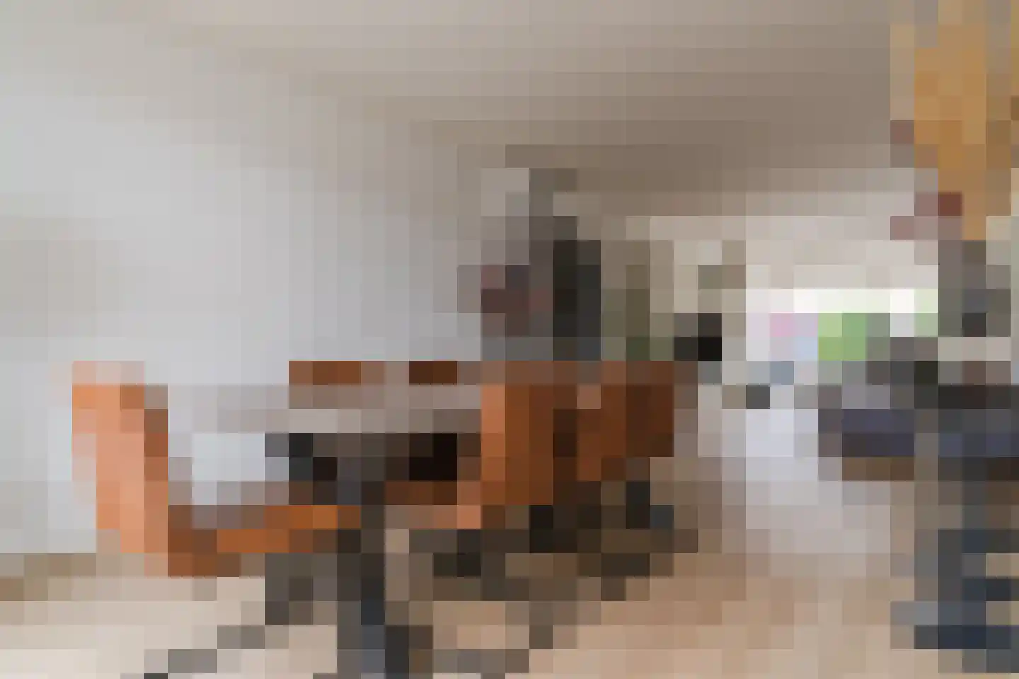 Jeroen Boschstraat 2 Akersloot thumbnail 24