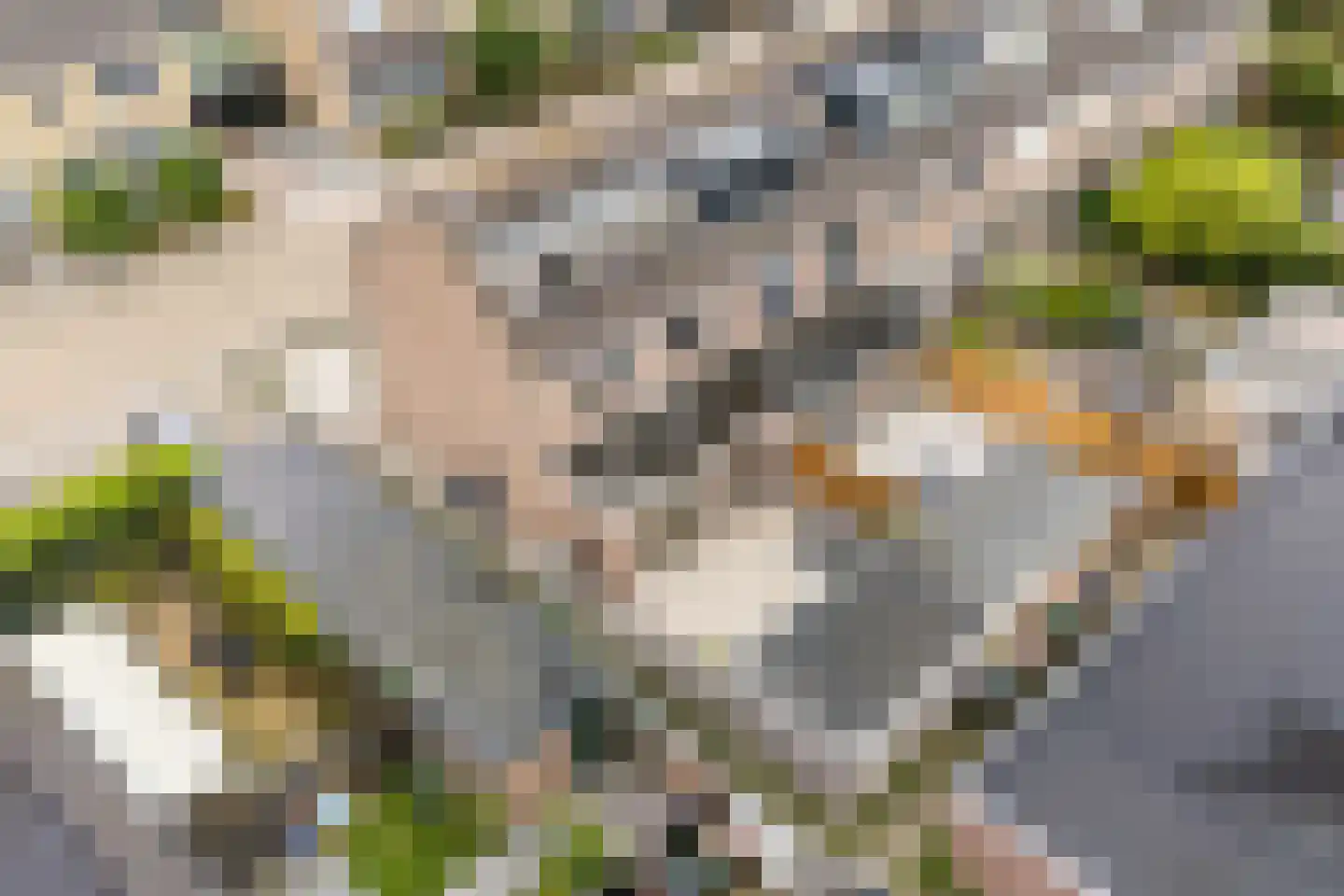 Jeroen Boschstraat 2 Akersloot thumbnail 58
