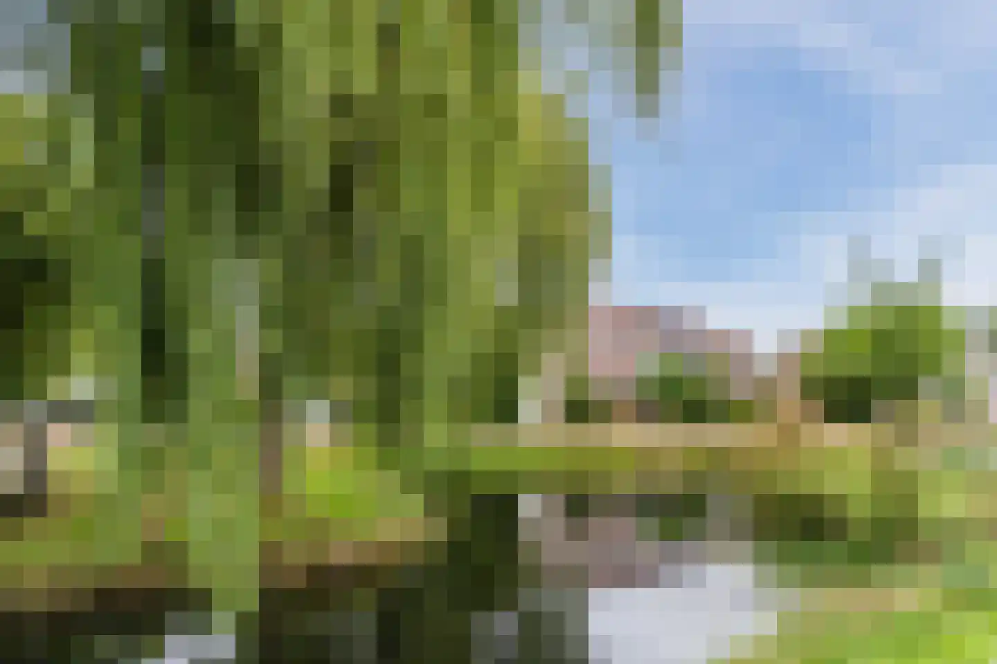 Jeroen Boschstraat 2 Akersloot thumbnail 60