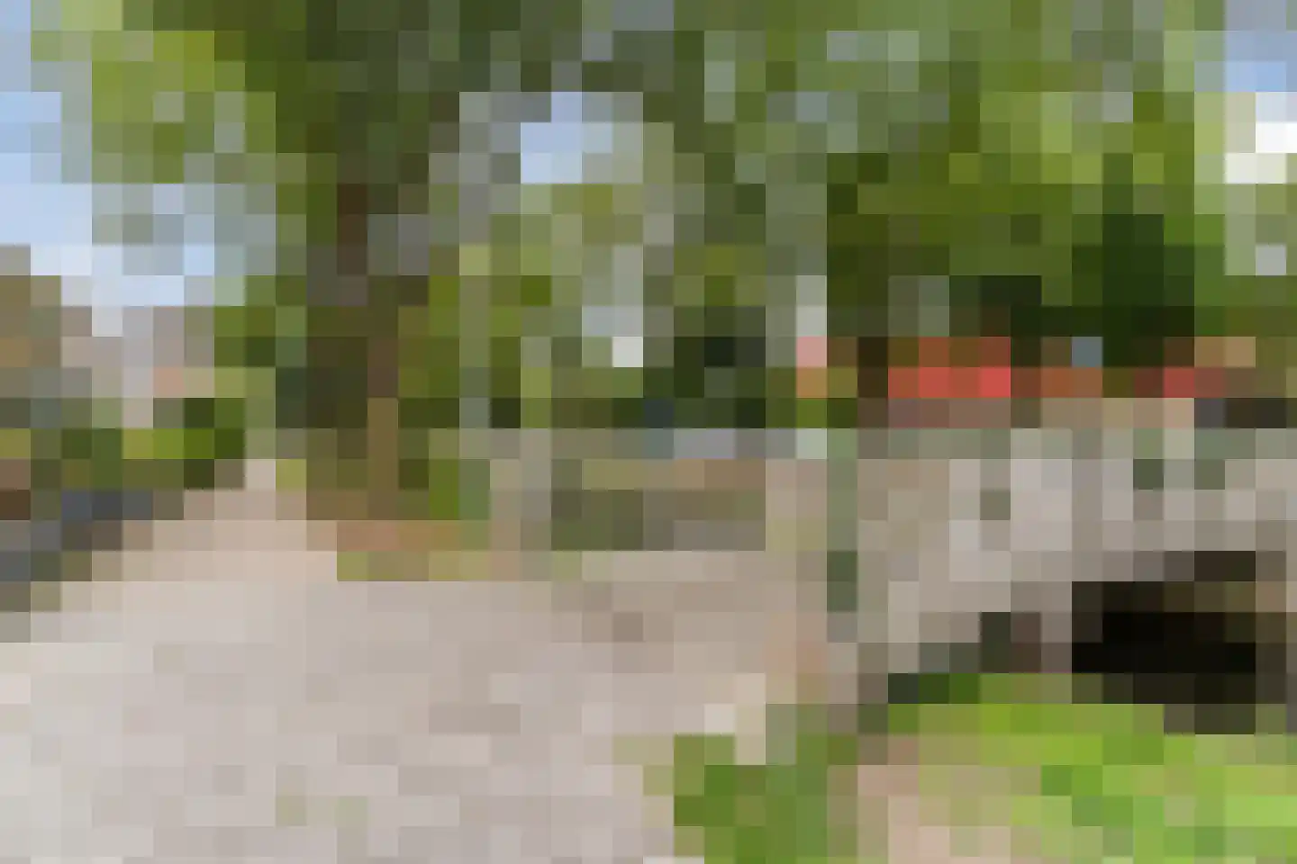 Jeroen Boschstraat 2 Akersloot thumbnail 61