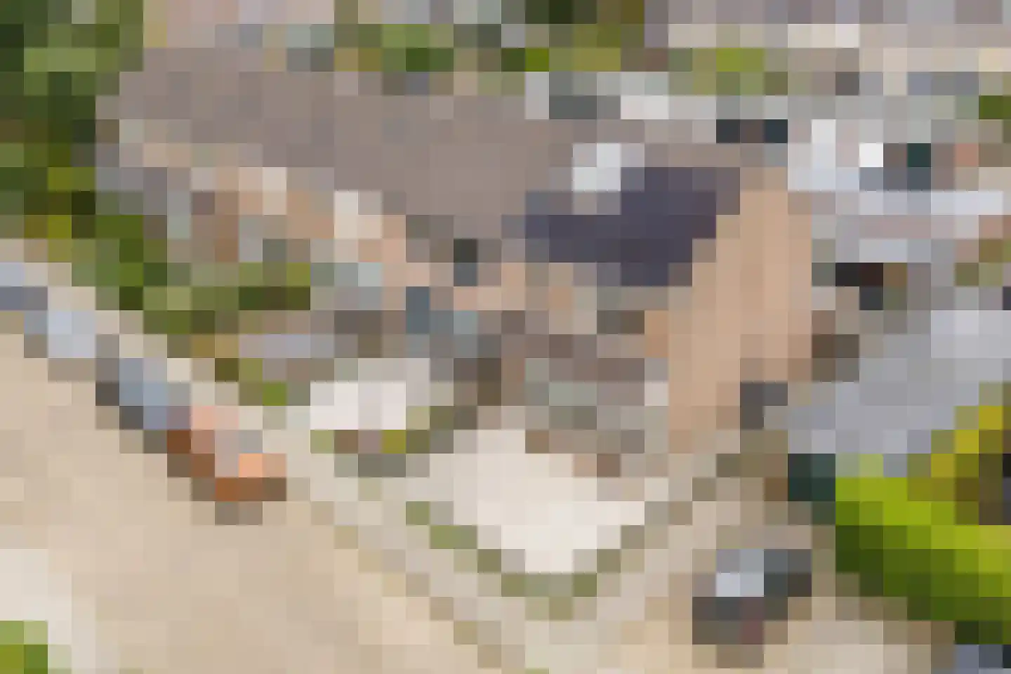 Jeroen Boschstraat 2 Akersloot thumbnail 62