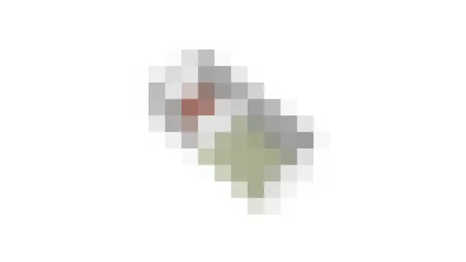 Jeroen Boschstraat 2 Akersloot thumbnail 67