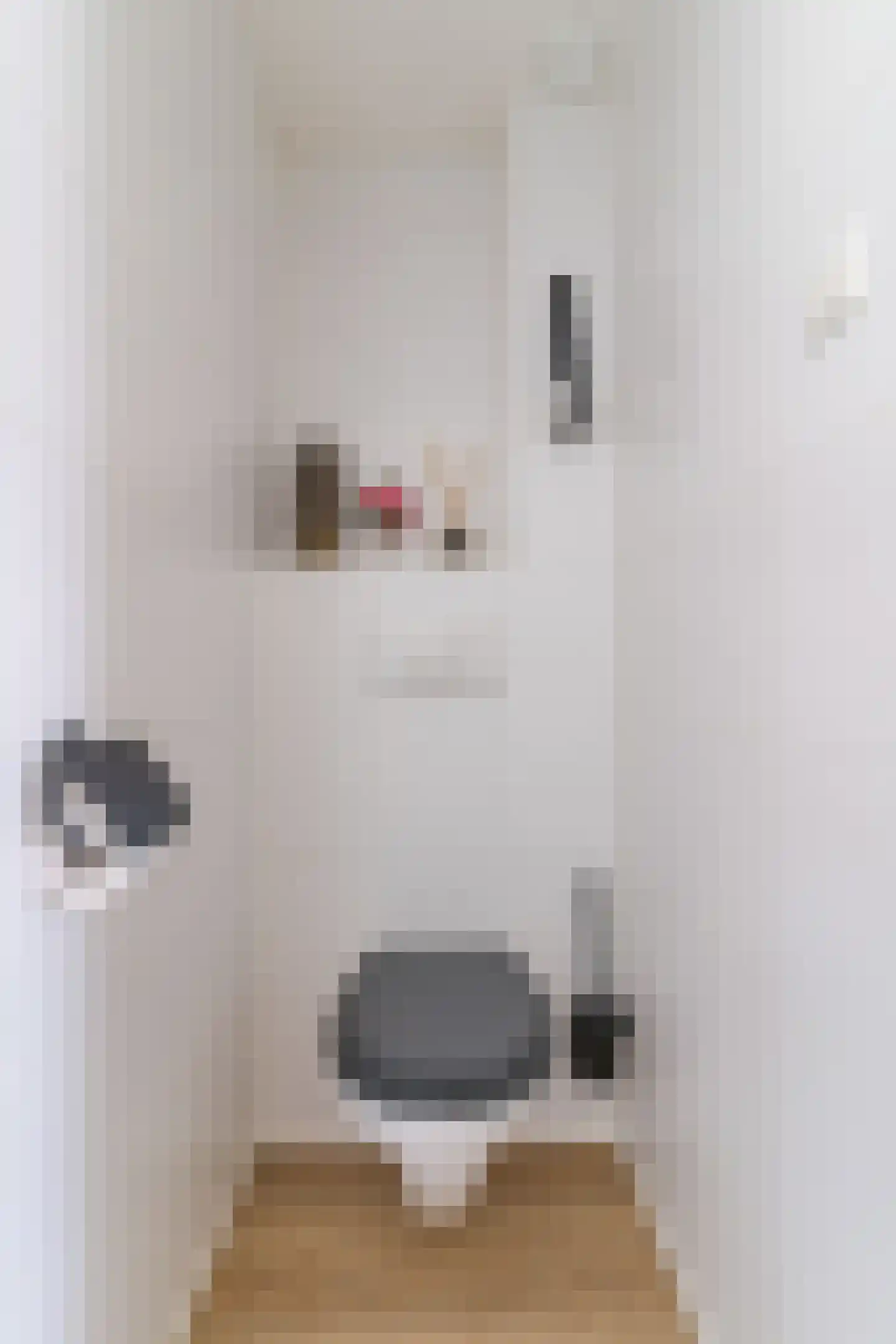 Jeroen Boschstraat 2 Akersloot thumbnail 7