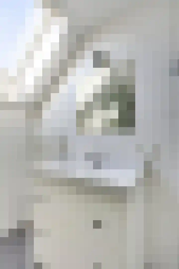 Jeroen Boschstraat 20 Deurne thumbnail 15
