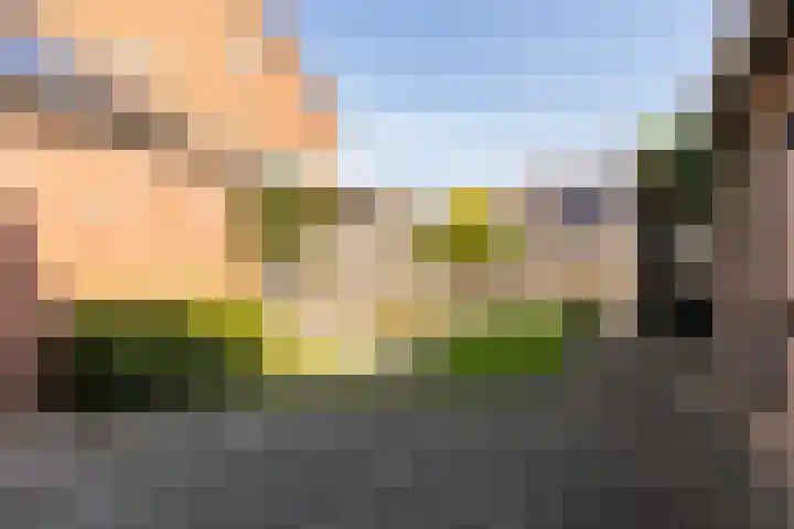 Jeroen Boschstraat 20 Deurne thumbnail 18